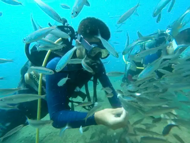 Bakı dalış diving kaleici